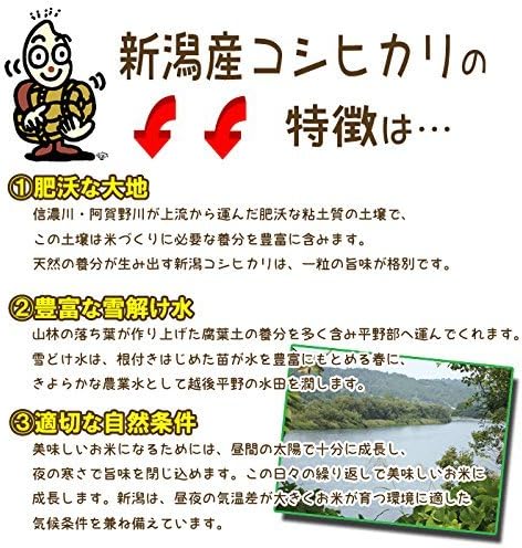 白米 10kg 新潟県産 コシヒカリ 令和7年産 お米マイスター厳選 自家精米 越後の米穀商高田屋(5kg×2))