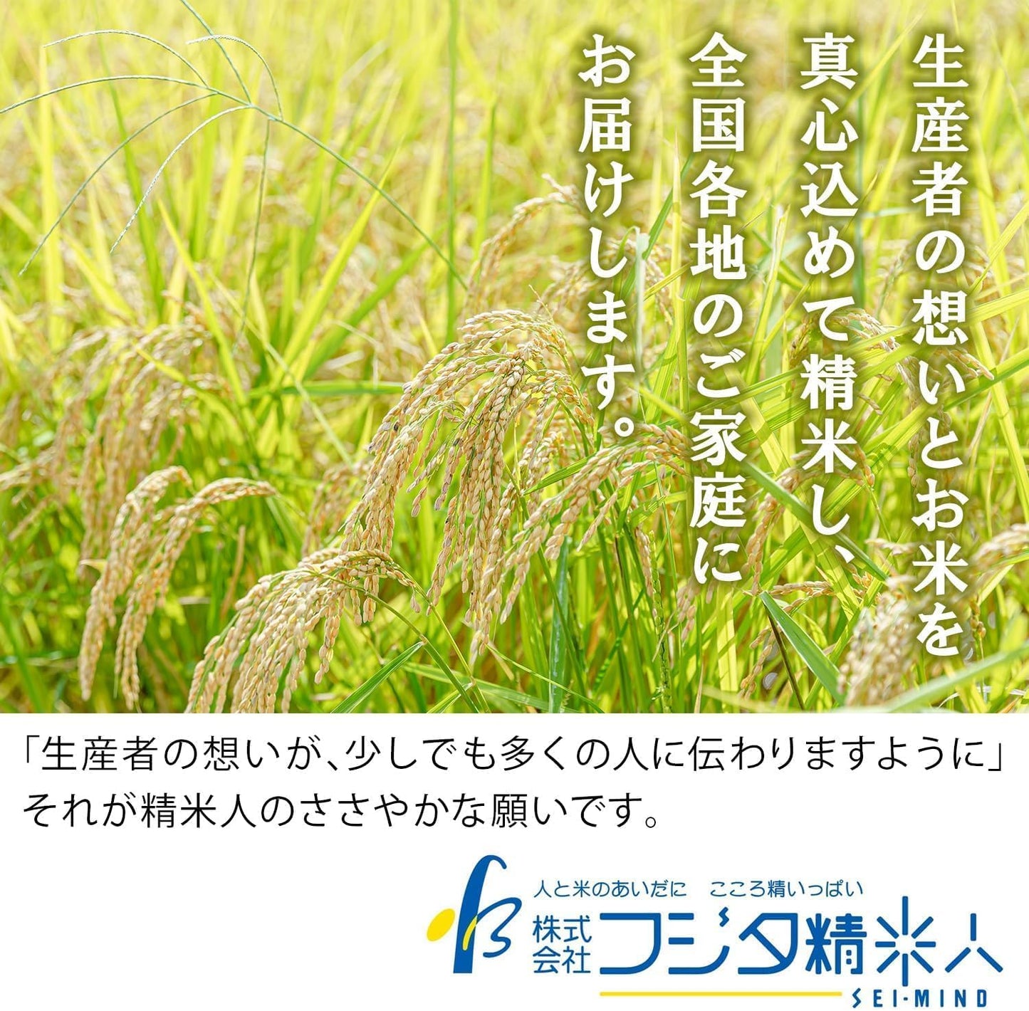 【精米】令和7年 島根県奥出雲産コシヒカリ 仁多米(西の横綱) 白米5kg