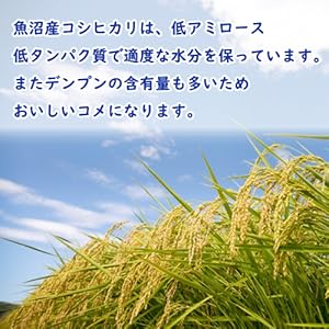 五ツ星お米マイスター厳選米 令和7年産 新潟 魚沼産 コシヒカリ 5㎏ 白米 精米 新潟米 低温倉庫管理 お米 米(食味分析80点以上) 単一原料米