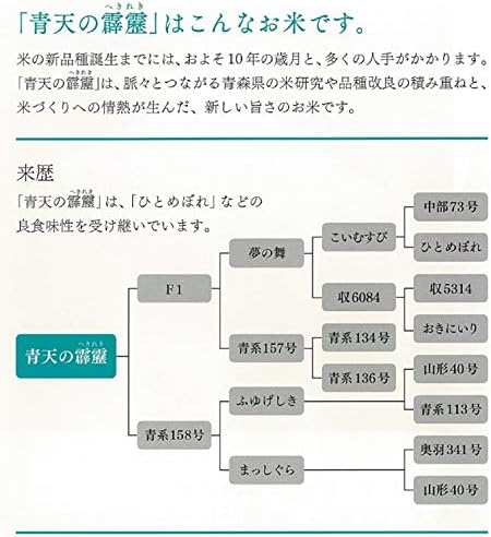 パールライス 青森県産 白米 青天の霹靂 令和7年産