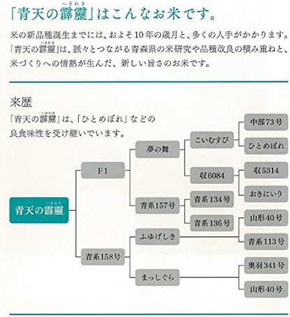 パールライス 青森県産 白米 青天の霹靂 令和7年産