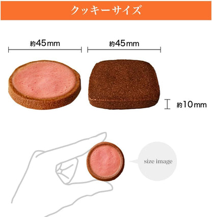 ガレー Galler チョコレート ベルギー王室御用達 クッキー 15枚入り 母の日 ギフト スイーツ お菓子 個包装 お取り寄せ 手さげ袋付き