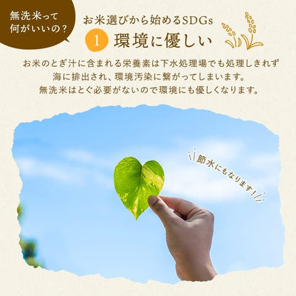 野沢農産 令和7年産 米 お米 無洗米 特別栽培米 コシヒカリ ぶなの水 長野県北信産