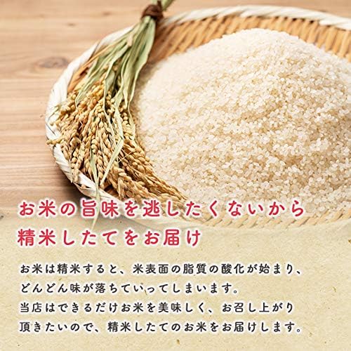 【家計お助け米】米 10kg 令和7年産 秋田県産 家計お助け米 あきたこまち 厳選米 単一原料米100％