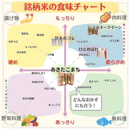 【家計お助け米】米 10kg 令和7年産 秋田県産 家計お助け米 あきたこまち 厳選米 単一原料米100％