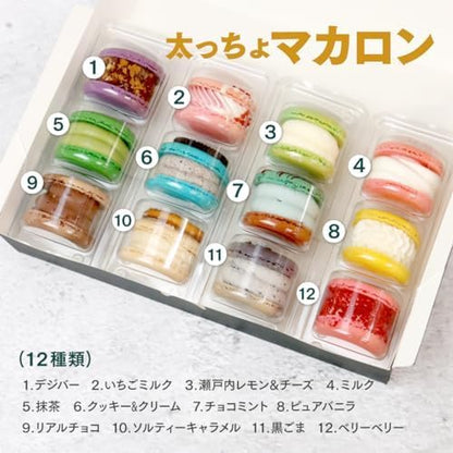 【ギフト】オールスター 12個セット トゥンカロン 太っちょマカロン お菓子 スイーツ お中元 敬老の日