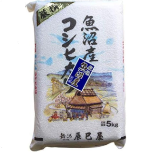 [精米] 新潟県産 北魚沼産 (旧広瀬・守門村) コシヒカリ 5kg 白米 新潟辰巳屋 令和7年産