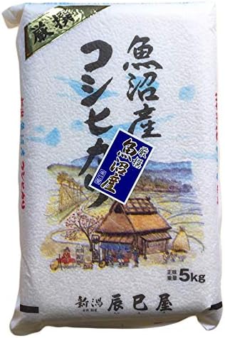 [精米] 新潟県産 北魚沼産 (旧広瀬・守門村) コシヒカリ 5kg 白米 新潟辰巳屋 令和7年産