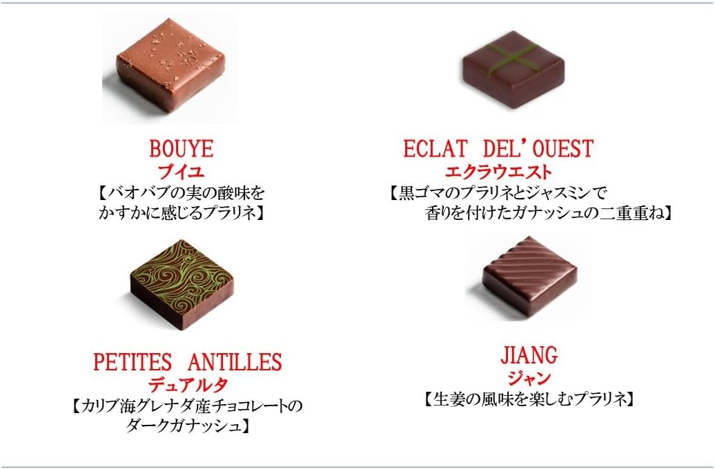 エドワート EDWART フランス パリ 直輸入 ボンボンショコラ 16個 手提げ袋付き 2026年 プレゼント ギフト バレンタイン ホワイトデー 高級 チョコレート