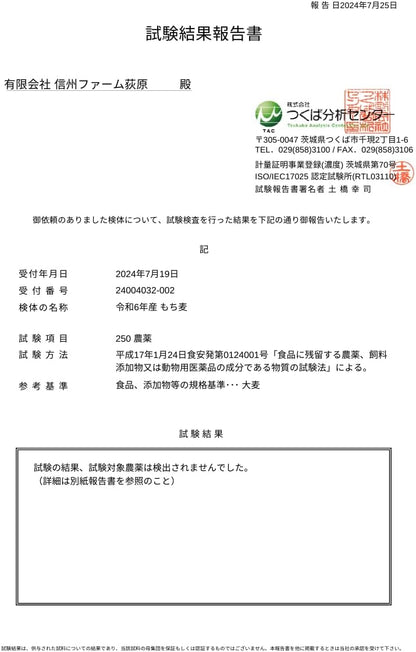 信州ファーム荻原 もち麦 ごはん 5kg 長野県 信州産 国産 精麦 食物繊維 大麦 もちもち