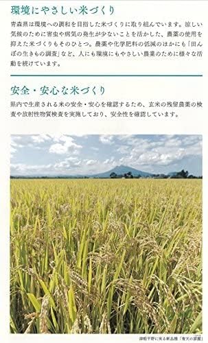 パールライス 青森県産 無洗米 青天の霹靂 令和7年産
