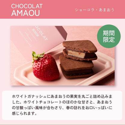 VANILLABEANS (バニラビーンズ) ショーコラ・スプリングセット4個入 [3/23着迄] チョコレート ギフト お菓子 ホワイトデー 春ギフト (手提げ袋付き) お返し プレゼント 手土産 スイーツ チョコ お祝い