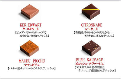 エドワート EDWART フランス パリ 直輸入 ボンボンショコラ 16個 手提げ袋付き 2026年 プレゼント ギフト バレンタイン ホワイトデー 高級 チョコレート