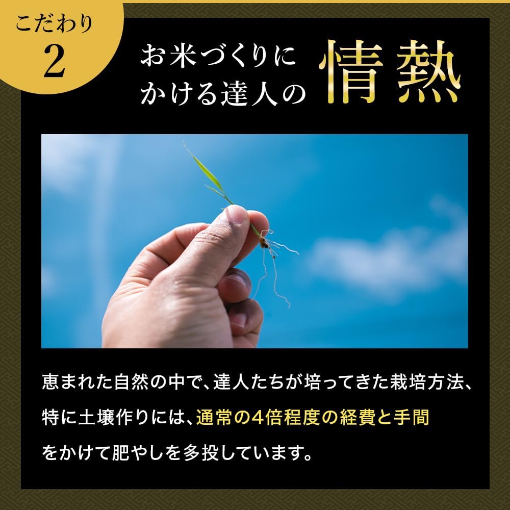令和7年産 魚沼産コシヒカリ「雪椿」 5㎏ 特別栽培米 極上 ミシュラン店御用達 減農薬栽培