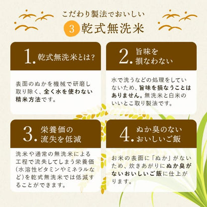 野沢農産 令和7年産 米 お米 無洗米 特別栽培米 コシヒカリ ぶなの水 長野県北信産