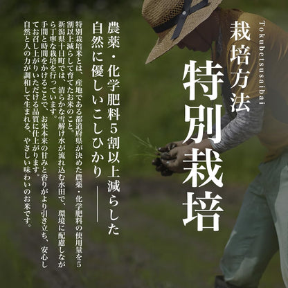 令和7年産 無洗米 こしひかり 2kg 新潟県 魚沼 十日町産 特別栽培米 雪蔵保管 チャック付き お米場田心