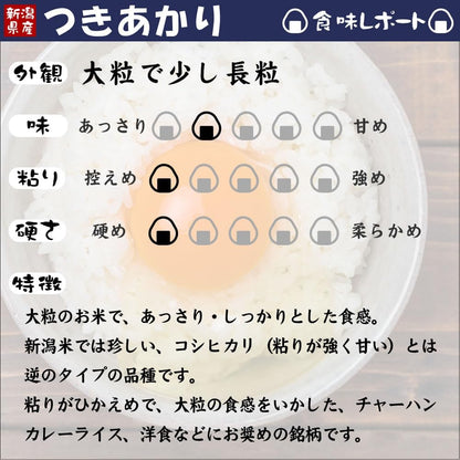 新米 令和7年産 新潟産 つきあかり 10kg(5kg×2袋)