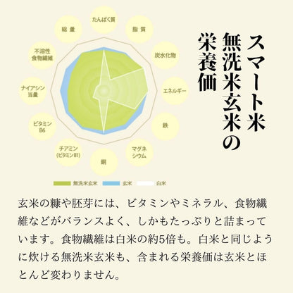 スマート米 米 玄米 無洗米 5kg 兵庫県丹波篠山産 コシヒカリ 令和7年産 残留農薬不検出 定期便 国産米