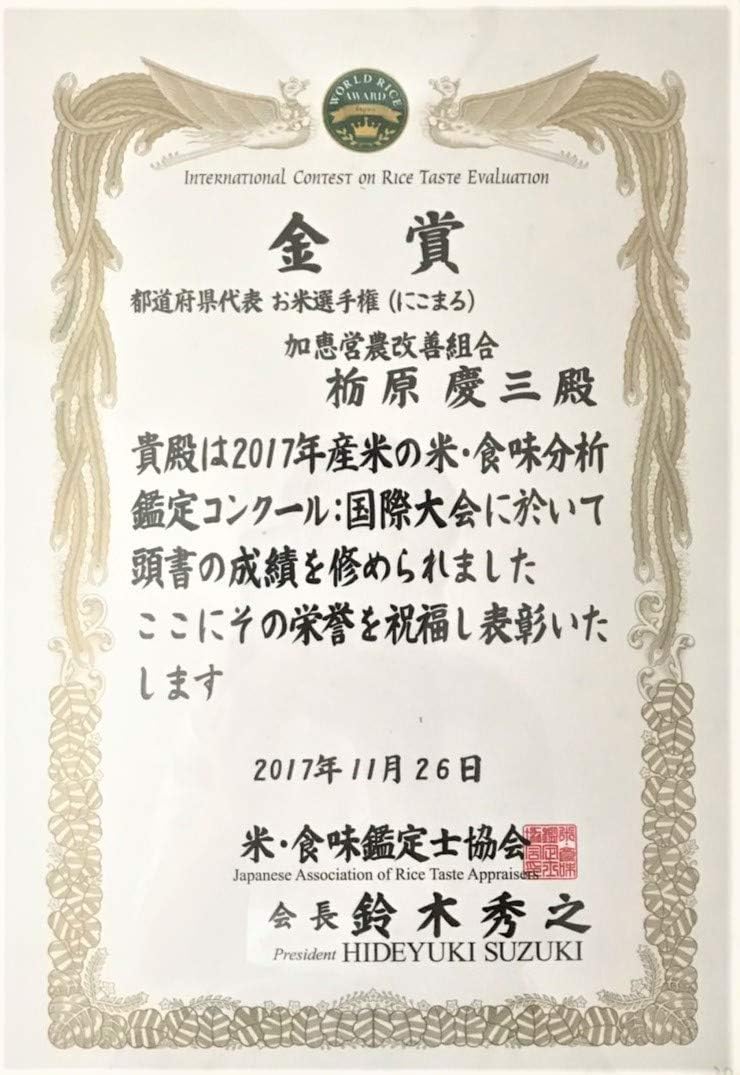 熊本県産 ヒノヒカリ 5kg 【 無洗米 】