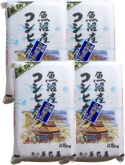 [精米] 新潟県産 北魚沼産 (旧広瀬・守門村) コシヒカリ 5kg 白米 新潟辰巳屋 令和7年産