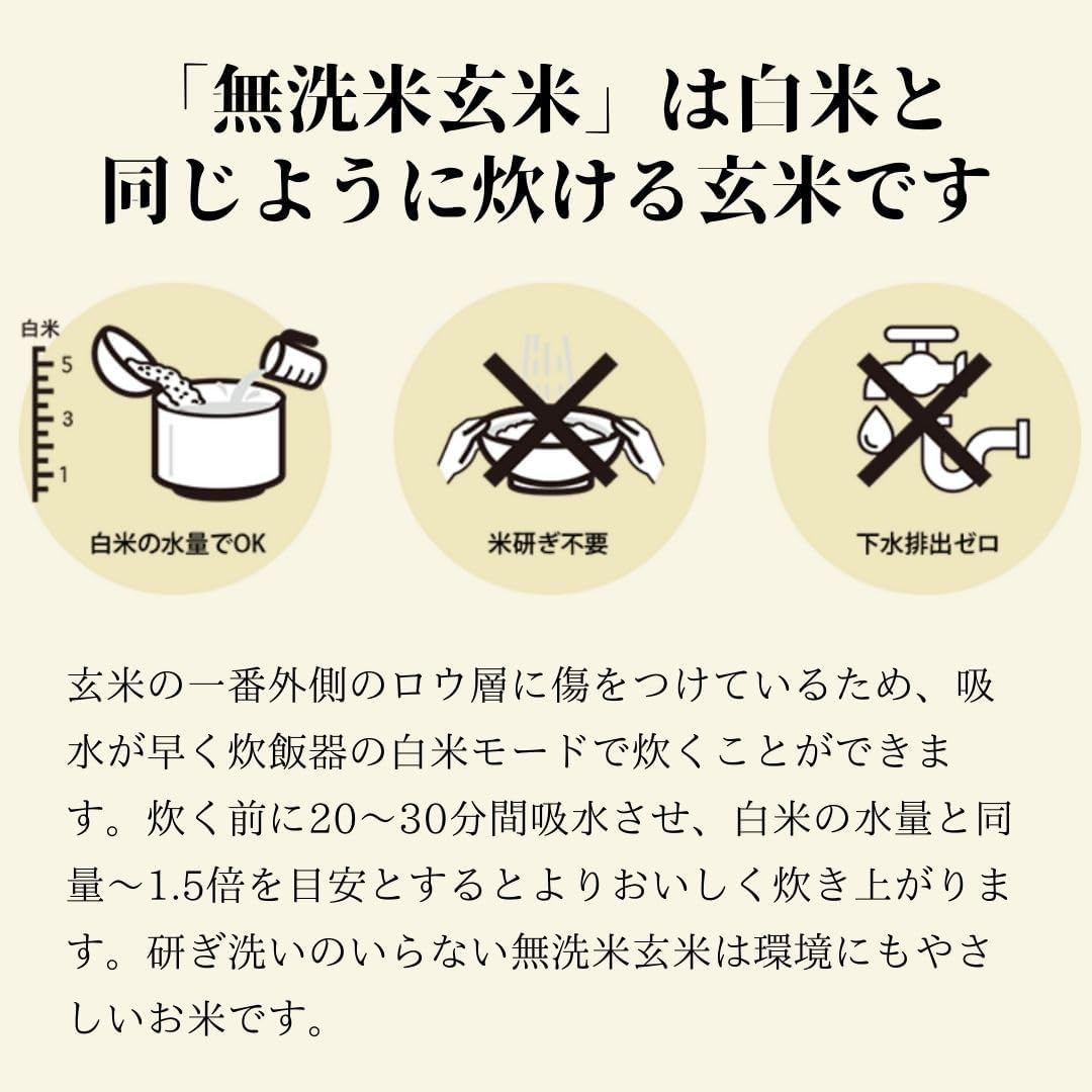 スマート米 米 玄米 無洗米 5kg 兵庫県丹波篠山産 コシヒカリ 令和7年産 残留農薬不検出 定期便 国産米