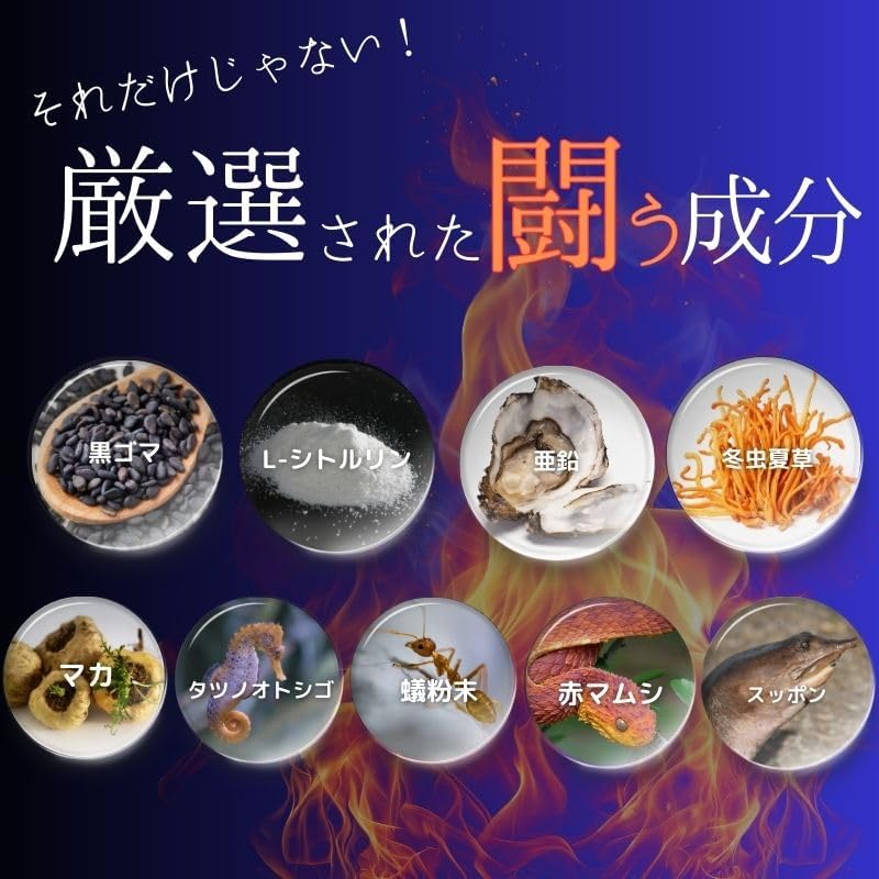 ファイターキング 闘王 60粒約1ヵ月分 公式ガイドブック付き [ クラチャイダム ハブ 山参 マカ 黒ゴマ イミダゾールペプチド ]