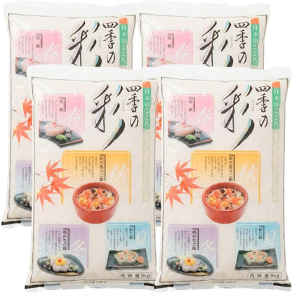 フクテイライス【白米】生活応援 お米 米 得福米 令和7年産