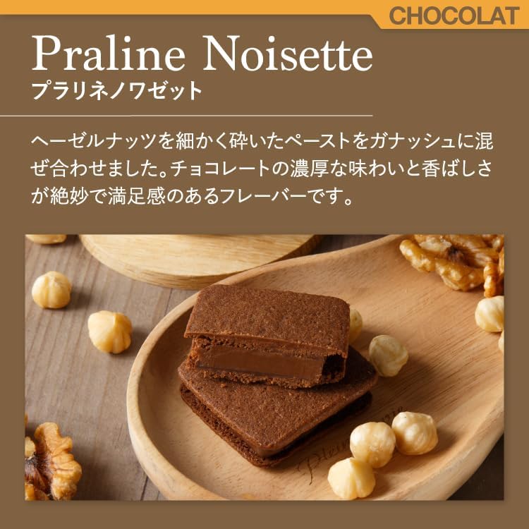 VANILLABEANS (バニラビーンズ) ショーコラ カカオバウム BOX セット/チョコレート ギフト お菓子 ホワイトデー (手提げ袋付き 個包装) 詰め合わせ プレゼント 手土産 ご褒美 スイーツ チョコ チョコサンド バウムクーヘン