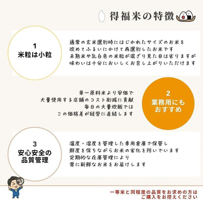 フクテイライス【白米】生活応援 お米 米 得福米 令和7年産