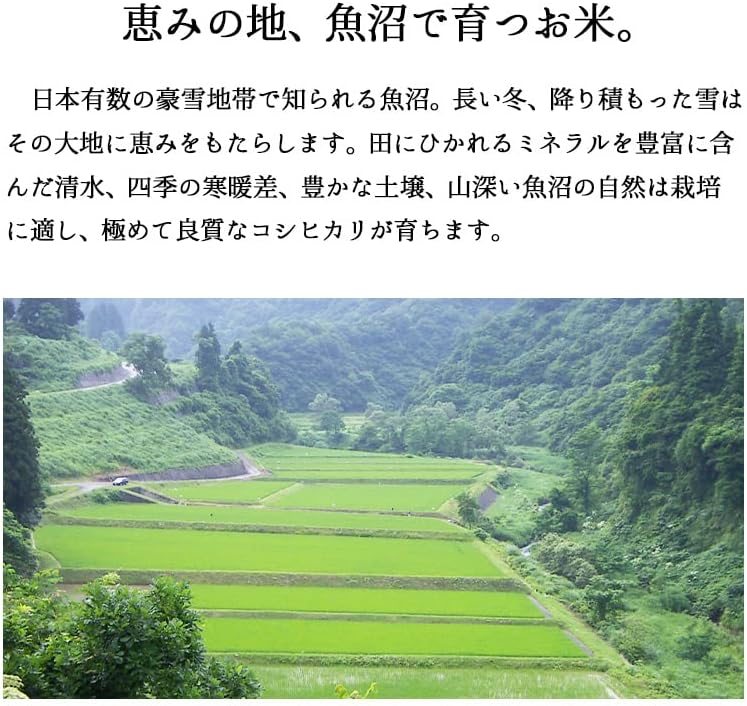 米 極上魚沼産コシヒカリ 5kg 令和7年産