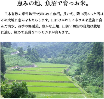 米 極上魚沼産コシヒカリ 5kg 令和7年産