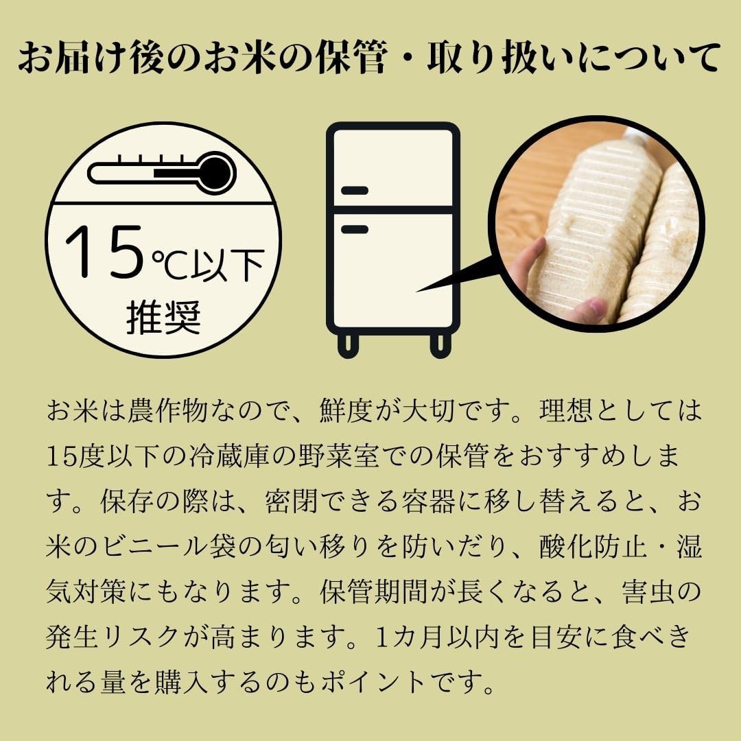 スマート米 米 玄米 無洗米 5kg 兵庫県丹波篠山産 コシヒカリ 令和7年産 残留農薬不検出 定期便 国産米