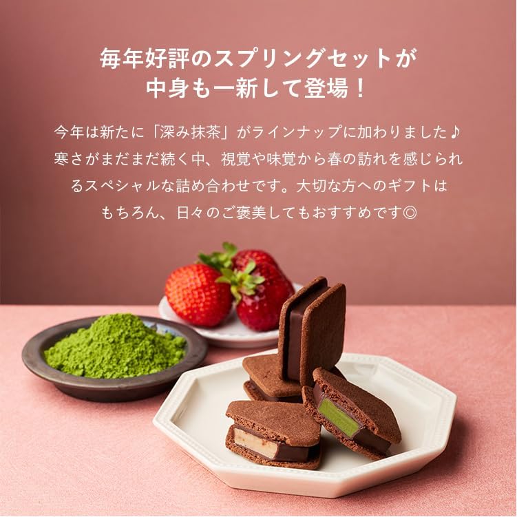 VANILLABEANS (バニラビーンズ) ショーコラ・スプリングセット4個入 [3/23着迄] チョコレート ギフト お菓子 ホワイトデー 春ギフト (手提げ袋付き) お返し プレゼント 手土産 スイーツ チョコ お祝い