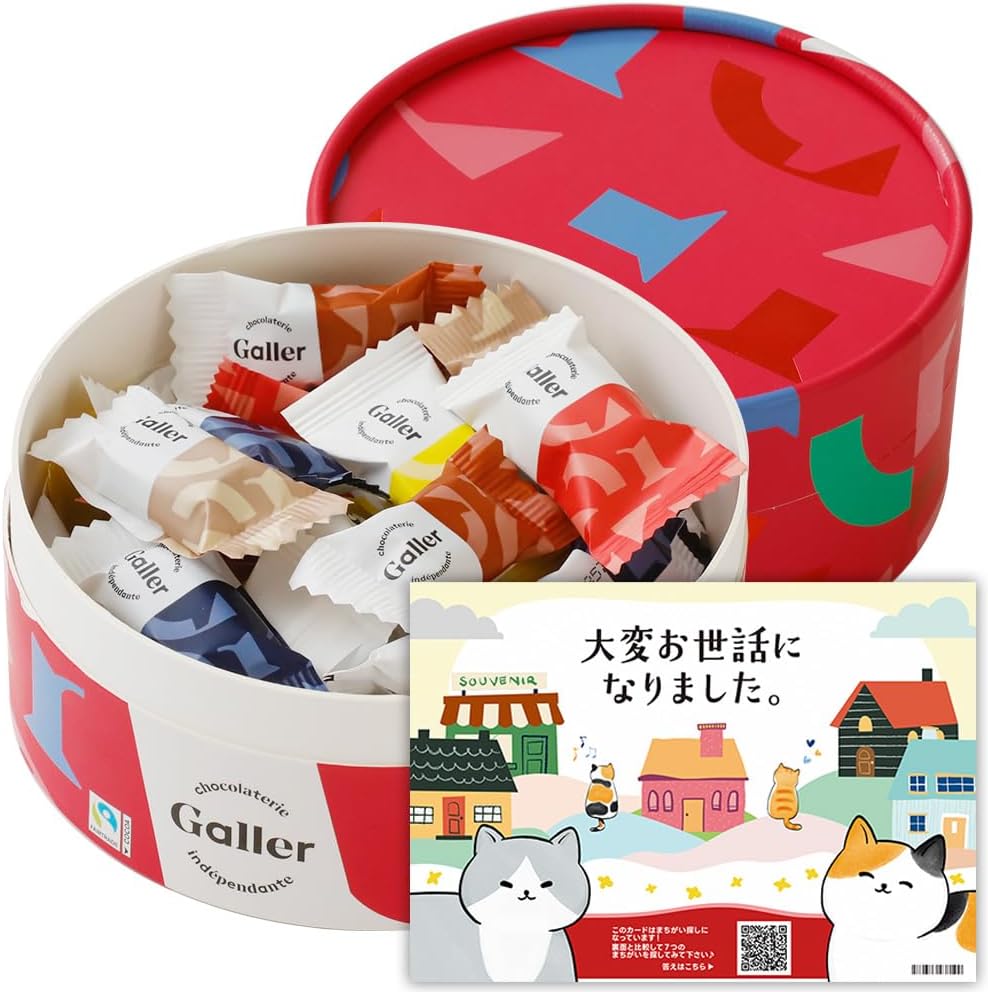 ガレー Galler チョコレート ベルギー王室御用達 ナノバー 30個入り バレンタイン お年賀 ギフト スイーツ お菓子 個包装