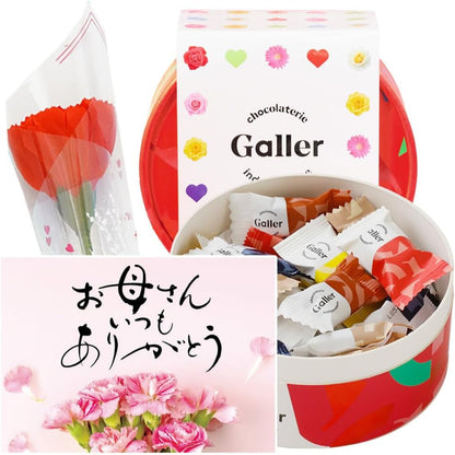 ガレー Galler チョコレート ベルギー王室御用達 ナノバー 30個入り 母の日 ギフト スイーツ お菓子 個包装 お取り寄せ 手さげ袋付き