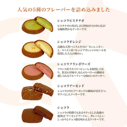 ガレー（Galler） クリスマス・お年賀・ギフト用（クッキー30枚入り・個包装・手さげ袋付き）