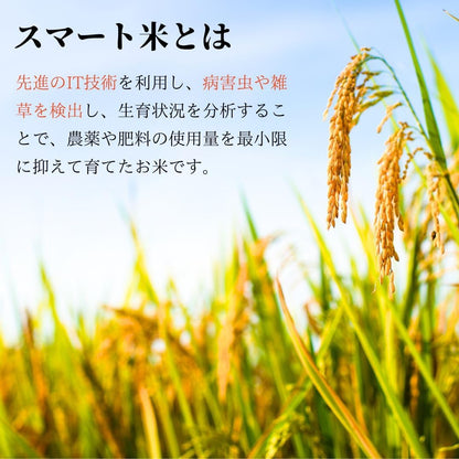 スマート米 米 玄米 無洗米 5kg 兵庫県丹波篠山産 コシヒカリ 令和7年産 残留農薬不検出 定期便 国産米