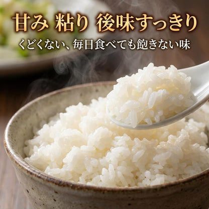 野沢農産 コシヒカリ 長野県産 令和7年産 通常精米 冷めても粒感が続くお弁当・おにぎり向け 寒暖差育ちの信州米