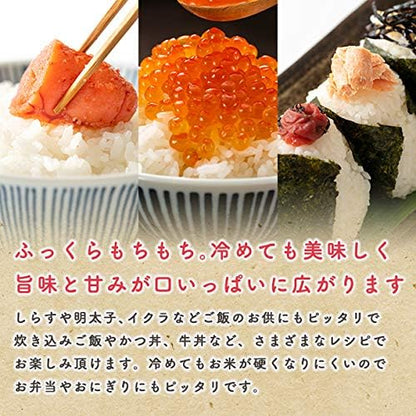 【家計お助け米】米 10kg 令和7年産 秋田県産 家計お助け米 あきたこまち 厳選米 単一原料米100％