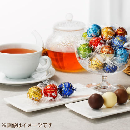 【Lindt公式】リンツ Lindt チョコレート リンドール 9種類アソート バレンタイン 大人リッチ 17個＋リンツ チョコウェイファー1個 個包装 リーフレット付