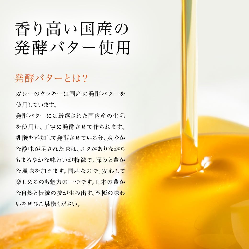 ガレー Galler チョコレート ベルギー王室御用達 クッキー 15枚入り 母の日 ギフト スイーツ お菓子 個包装 お取り寄せ 手さげ袋付き