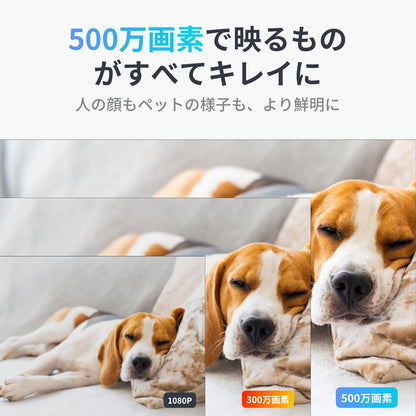 【Works with Alexa認定】 SwitchBot 防犯カメラ 500万画素 監視カメラ アプリ通知 遠隔確認 動体検知 自動追跡 ナイトビジョン 双方向音声通話 パン/チルト カラーナイトビジョン 室内 スイッチボット 見守りカメラ Plus 5MP 3年保証
