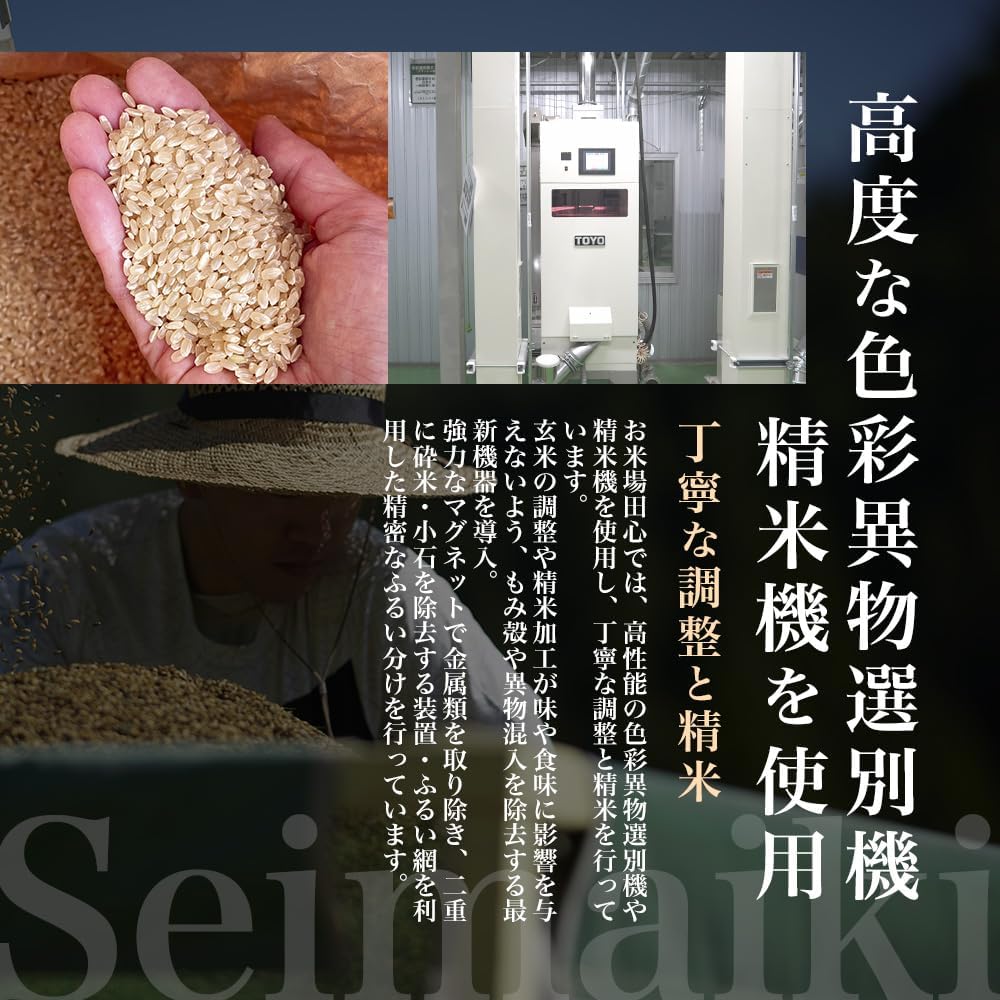 令和7年産 無洗米 こしひかり 2kg 新潟県 魚沼 十日町産 特別栽培米 雪蔵保管 チャック付き お米場田心