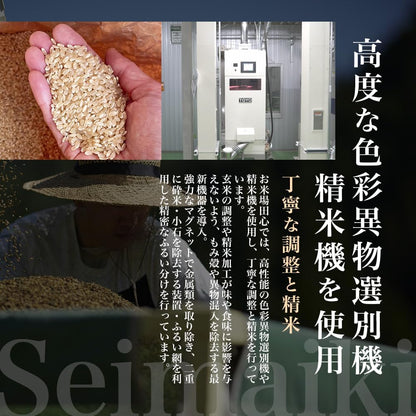 令和7年産 無洗米 こしひかり 2kg 新潟県 魚沼 十日町産 特別栽培米 雪蔵保管 チャック付き お米場田心