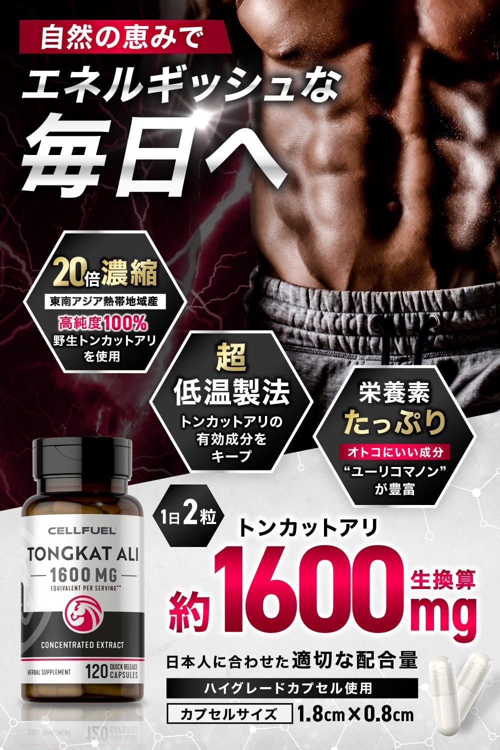 【高配合】トンカットアリ エキス Tongkat Ali 【120粒 60日分】大容量 2粒で生1600㎎ 低温製法 無着色 CoA食品分析書あり CELLFUEL from N.Y. (1)