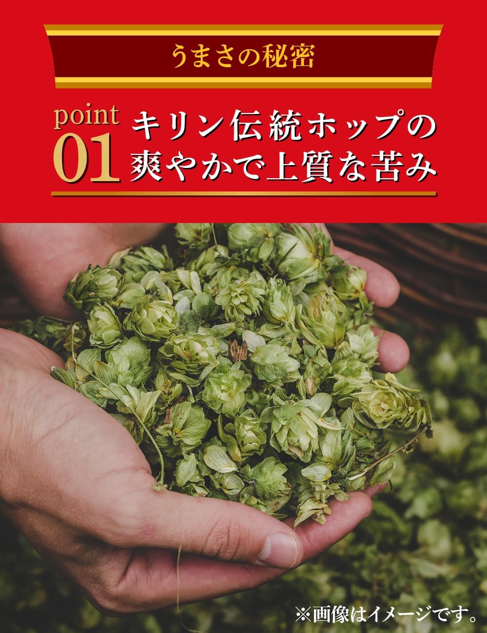 本麒麟 キリン ビール350ml×24本 発泡酒新ジャンル