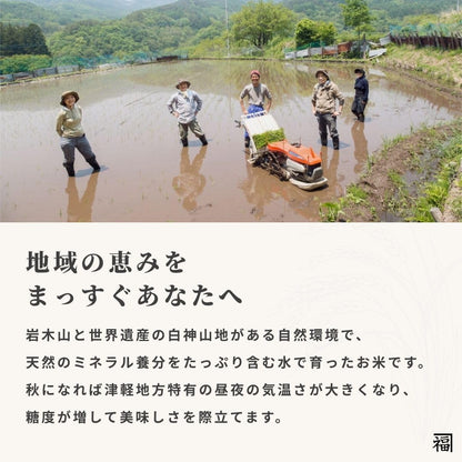 フクテイライス【白米】生活応援 お米 米 得福米 令和7年産