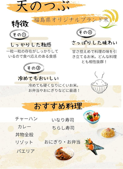 【精米】令和7年産 白米 米 福島県産天のつぶ白米