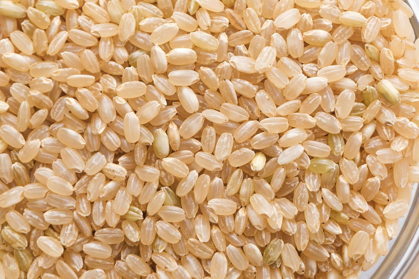 熊本県産 ヒノヒカリ 5kg 【 無洗米 】