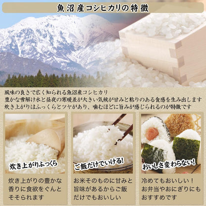令和7年産 産直 魚沼産 コシヒカリ 5kg 米
